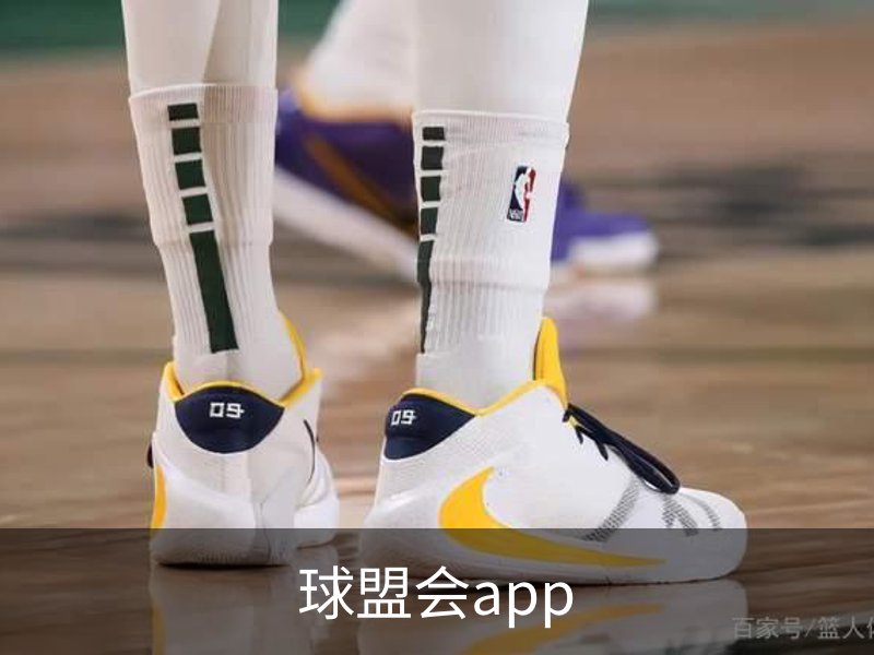 球盟会app概况